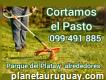 Jardineros en Parque del Plata 099 491 885