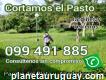 Jardinero en Atlántida 099 491 885 y alrededores