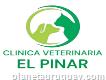 Veterinaria El Pinar